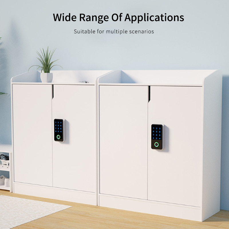 TTLOCK 13.56Mhz RFID Digital D - Cabinet Lock Key recensie en prijs